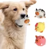 dog squeaky toy