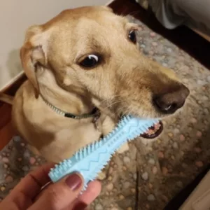 Received Tooth Cleaning Chew Toy for Dog from customer F****h.