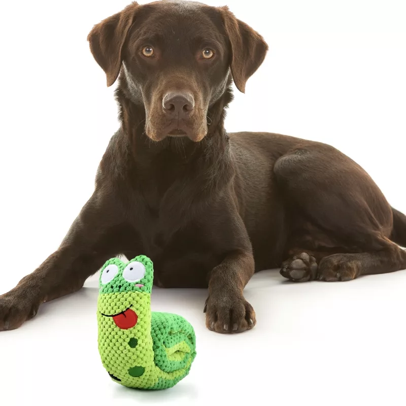 dog squeak toy, dog snuffle toy