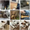 Indestructible Bone Stick Dog Chewing Toy
