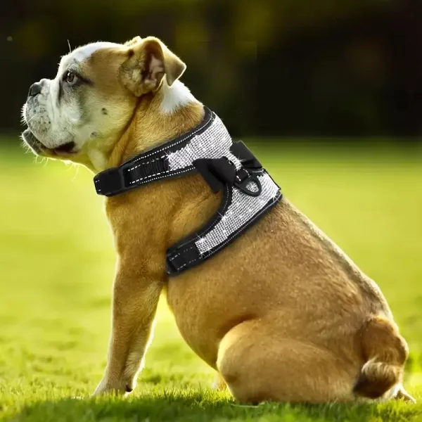 dog harness, dog harness vest, reflective dog harness, bling dog harness, rhinestone dog harness