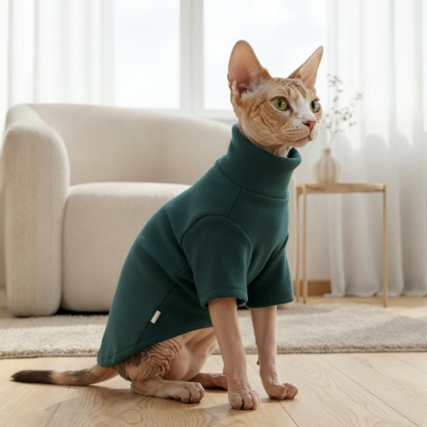 cat clothes, cat sweater