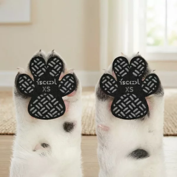 dog paw grips