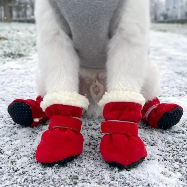 dog snow boots